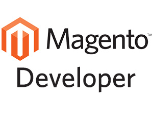 Magento freelance developer